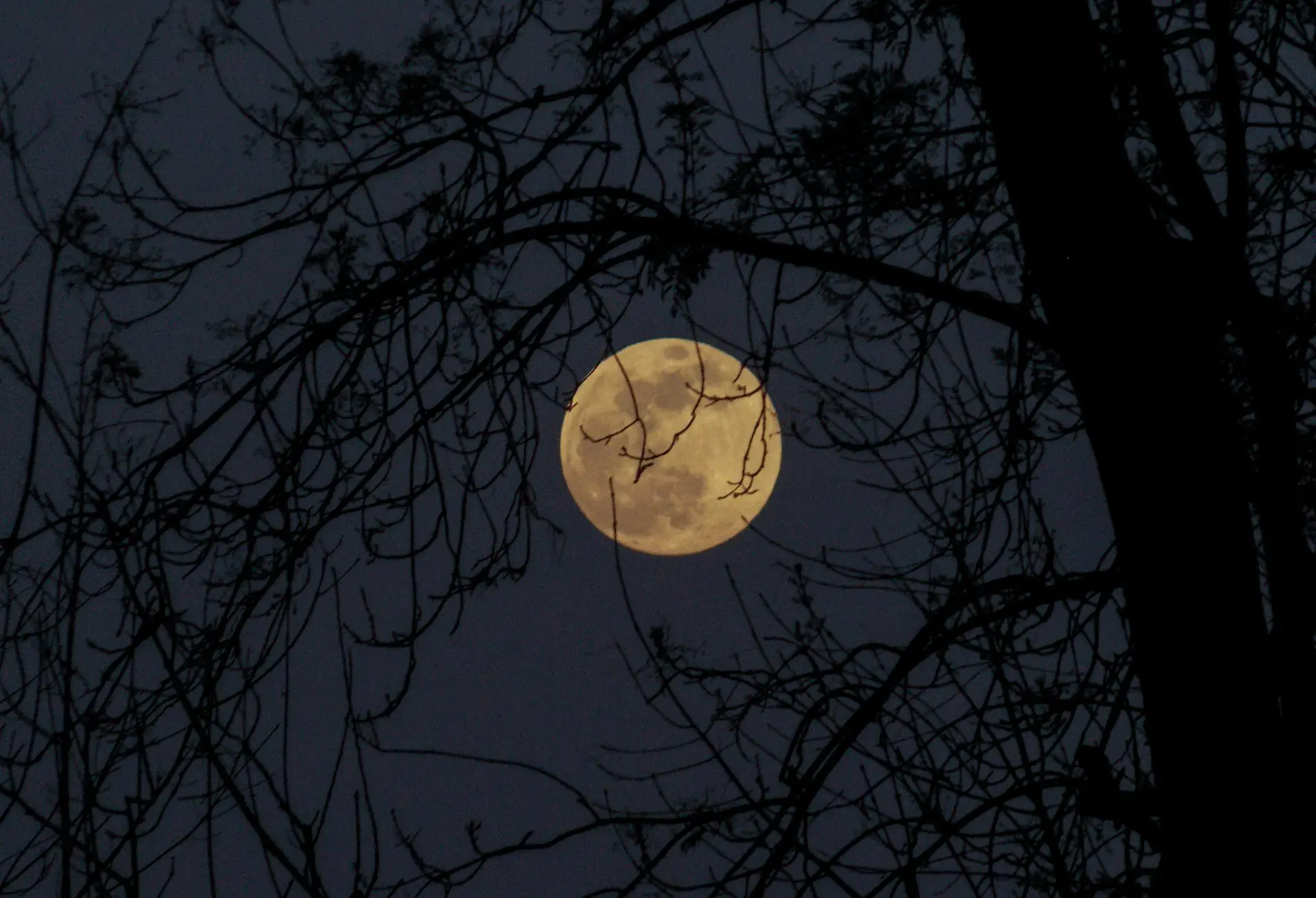 miedo al silencio nocturno | ansiedad por silencio | ruido para dormir